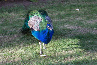 Similar image 21965044