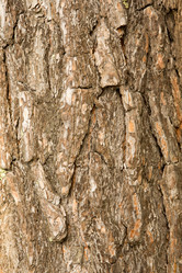 Similar image 21965049