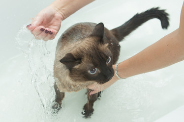 Similar image 21965345