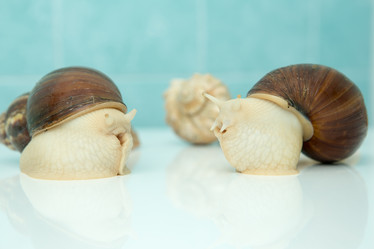 Similar image 21965347