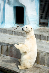 Similar image 21965351