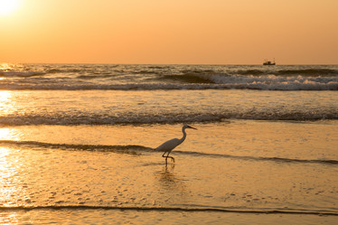 Similar image 21952799