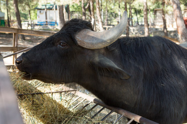 Similar image 21952929