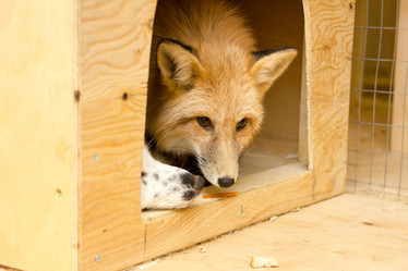 Similar image 21953108