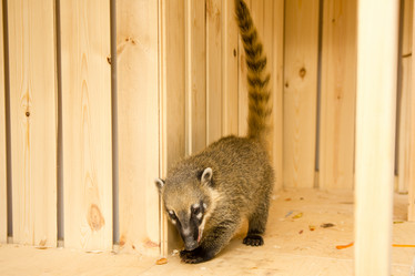 Similar image 21953109