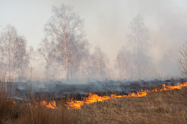 Similar image 21954308