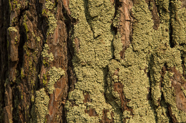 Similar image 21954522