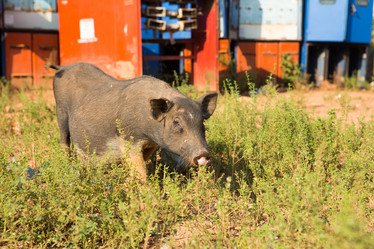 Similar image 21954770