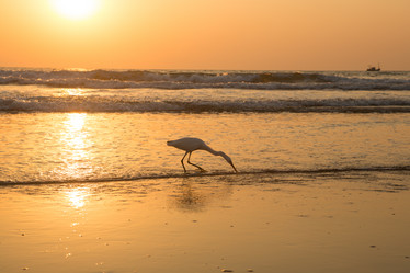 Similar image 21952806