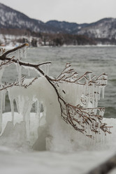 Similar image 21955161