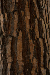 Similar image 21955163