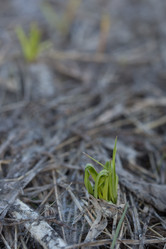 Similar image 21965051