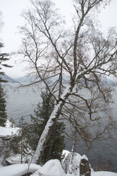 Similar image 21965058