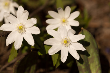 Similar image 21965066