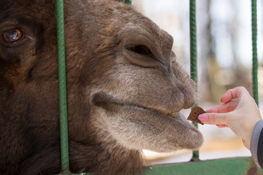 Similar image 21965359