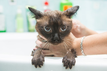 Similar image 21965361