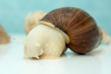 Similar image 21965362