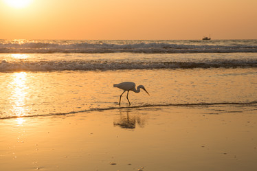 Similar image 21952807