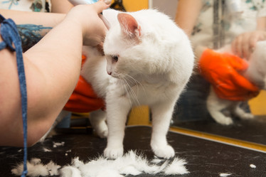 Similar image 21952933