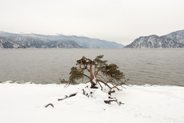 Similar image 21952934