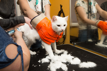 Similar image 21952936