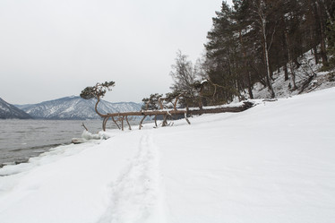 Similar image 21952937