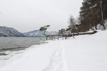 Similar image 21952939