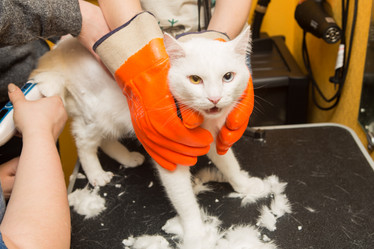 Similar image 21952940