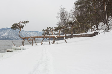 Similar image 21952941