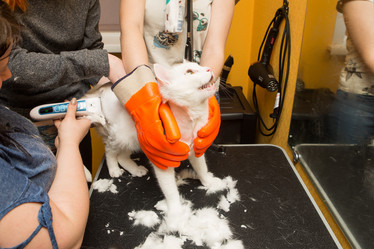 Similar image 21952942