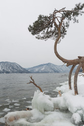 Similar image 21953121