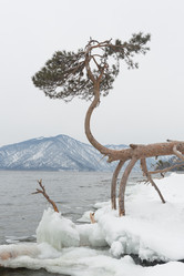 Similar image 21953122