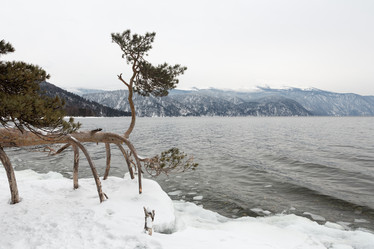 Similar image 21953123