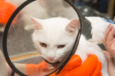 Similar image 21953126