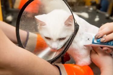 Similar image 21954074