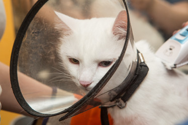 Similar image 21954076