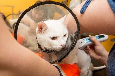 Similar image 21954080