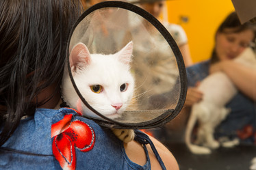 Similar image 21954082