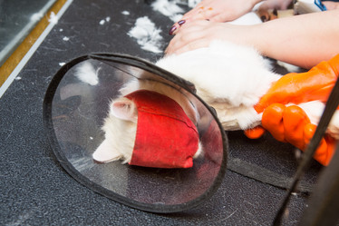 Similar image 21954086