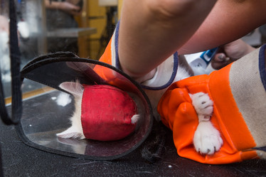 Similar image 21954314