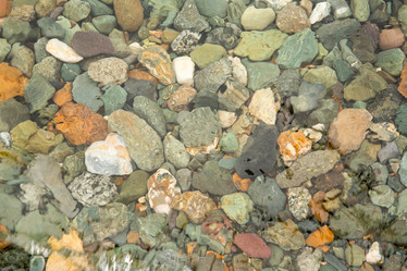 Similar image 21954315