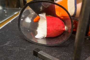 Similar image 21954316