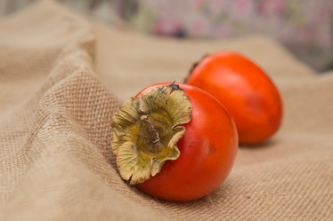 Similar image 21954321