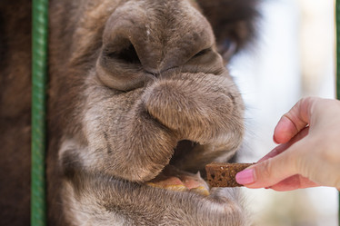 Similar image 21954328