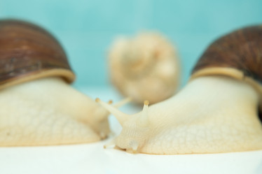 Similar image 21954331