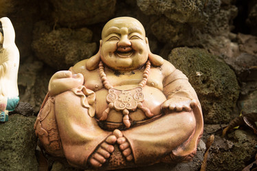 Similar image 21954538