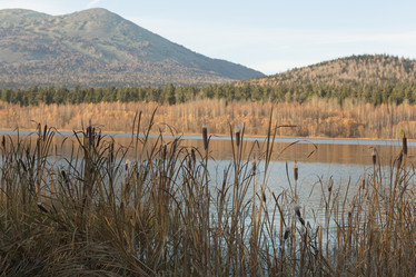 Similar image 21954539