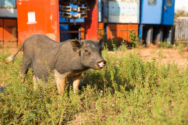 Similar image 21954548