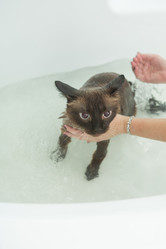 Similar image 21952812