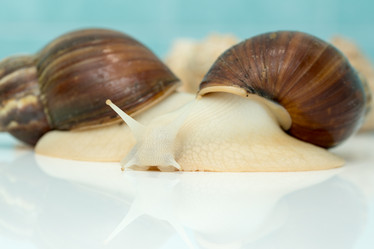 Similar image 21952813